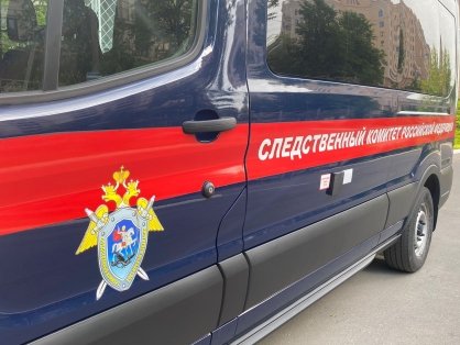 В Суворове задержана несовершеннолетняя девушка, обвиняемая в мошенничестве